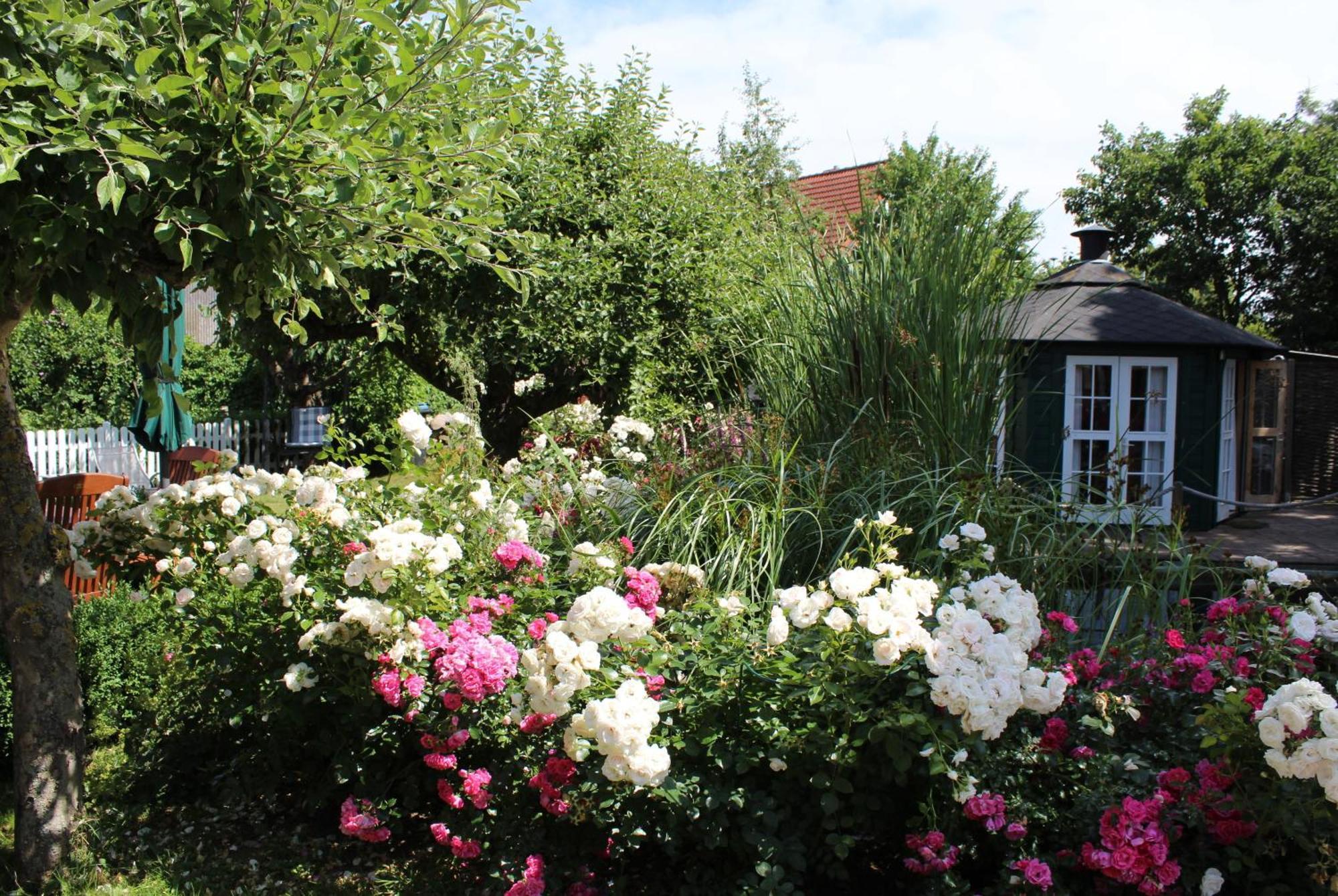 Appartamento "Rosenkate 1" Riepsdorf Esterno foto