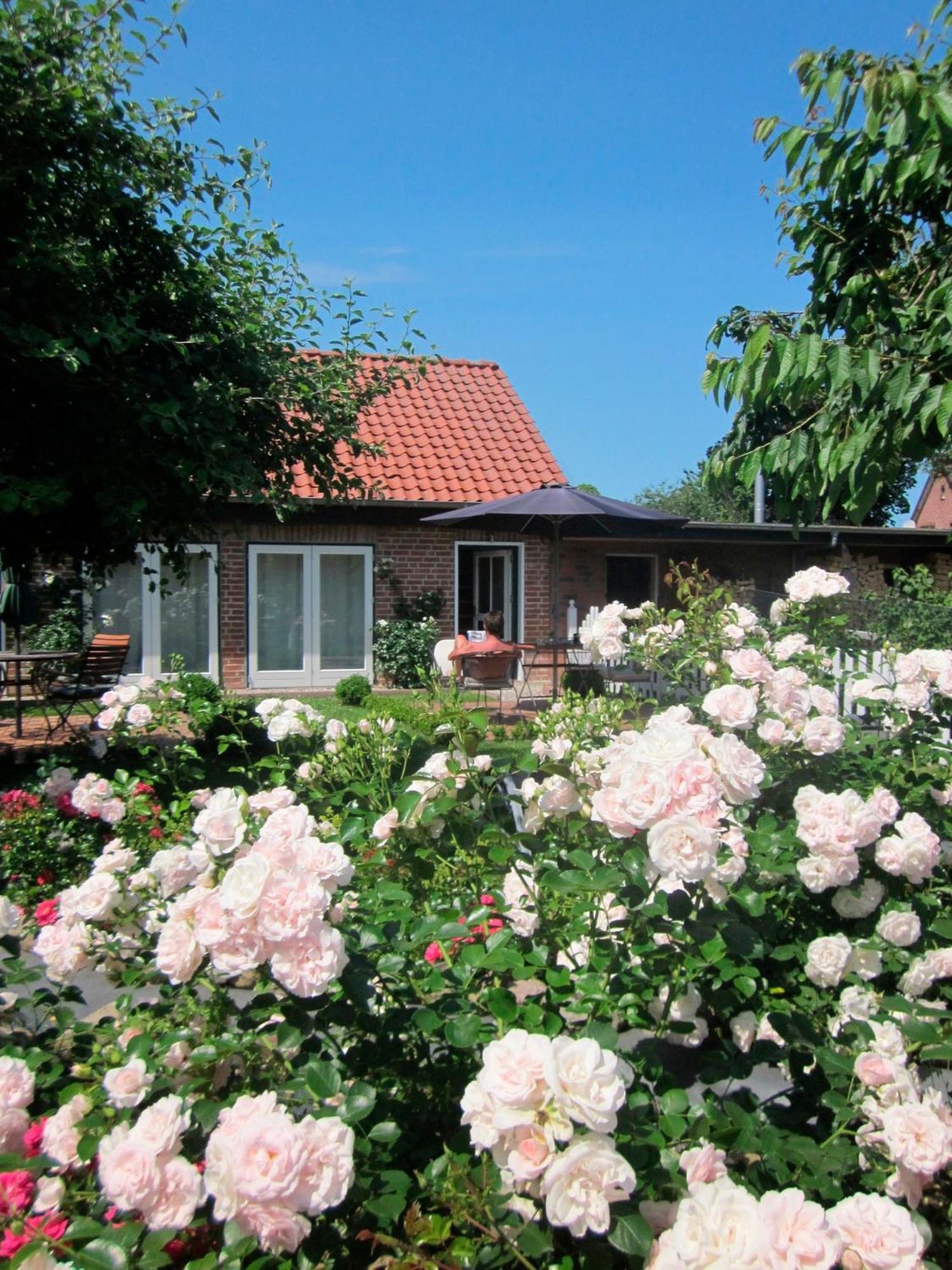 Appartamento "Rosenkate 1" Riepsdorf Esterno foto